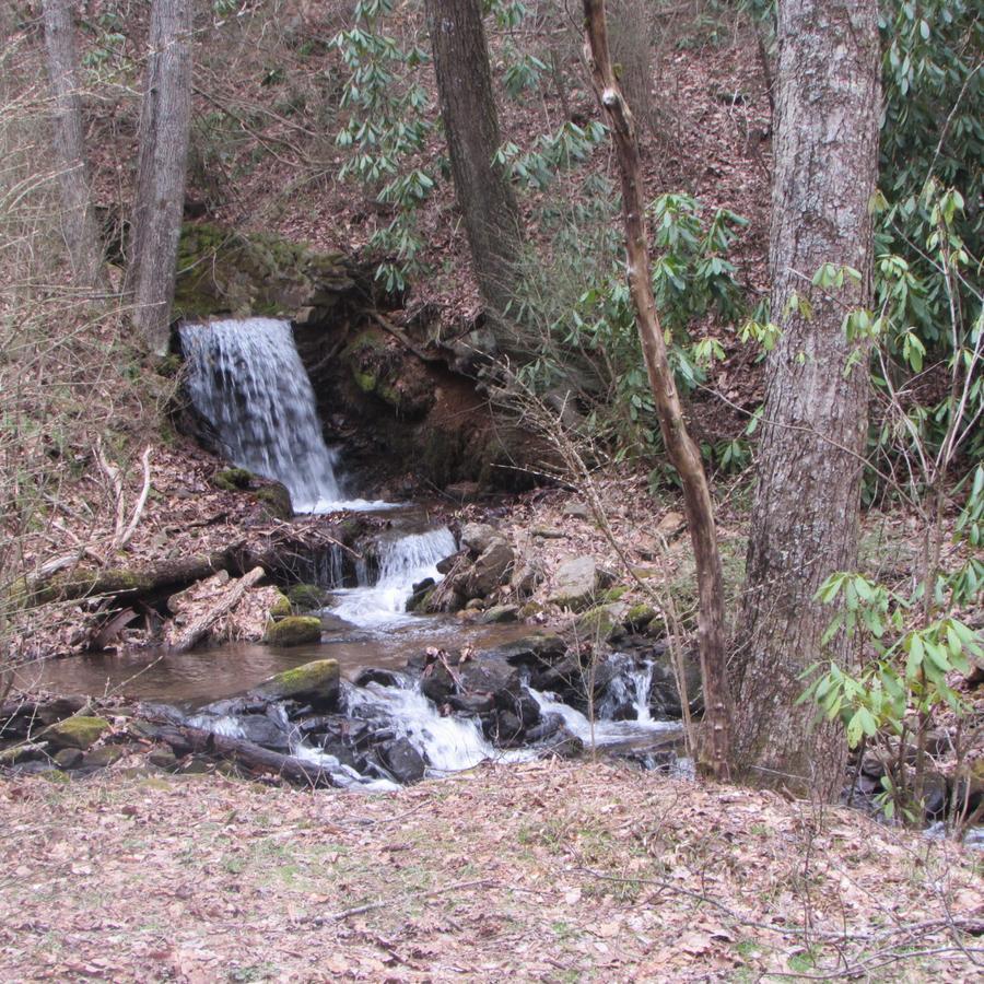 Red Leaf River Inn Waynesville Esterno foto