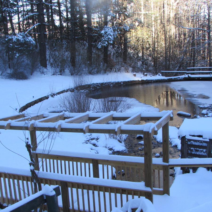 Red Leaf River Inn Waynesville Esterno foto
