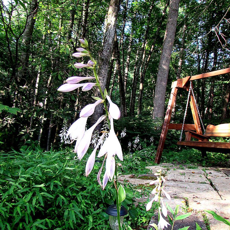 Red Leaf River Inn Waynesville Esterno foto