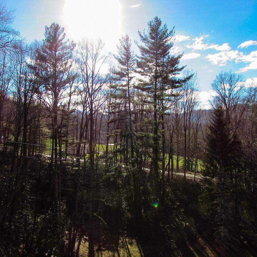 Red Leaf River Inn Waynesville Esterno foto