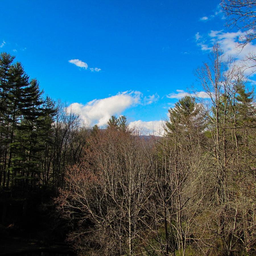 Red Leaf River Inn Waynesville Esterno foto